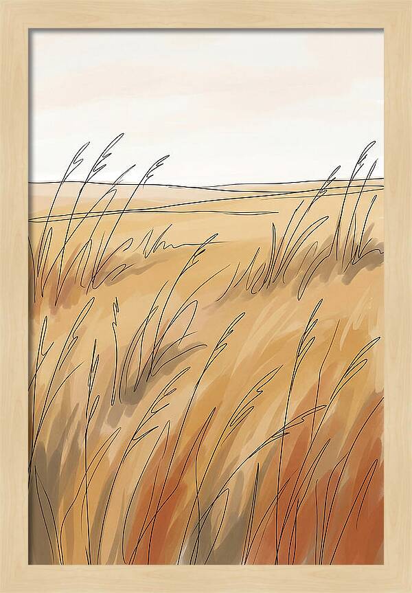 Golden Field Of Tall Grass