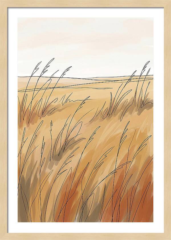 Golden Field Of Tall Grass