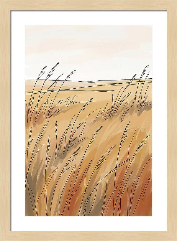 Golden Field Of Tall Grass