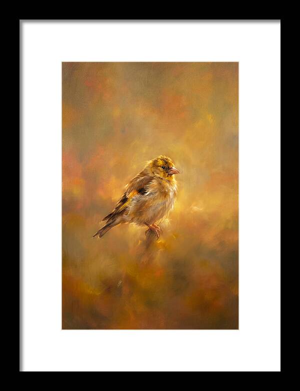 Golden Finch In Glow