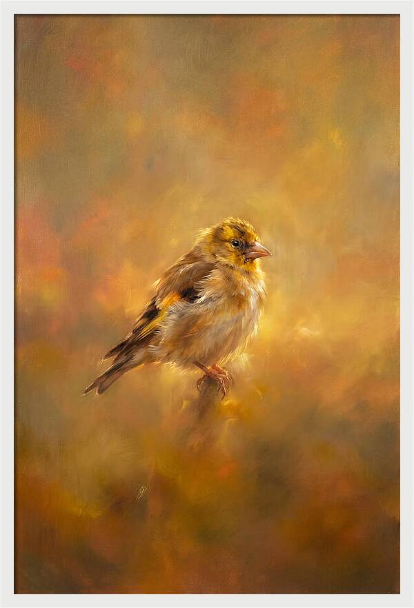 Golden Finch In Glow
