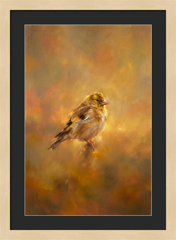 Golden Finch In Glow