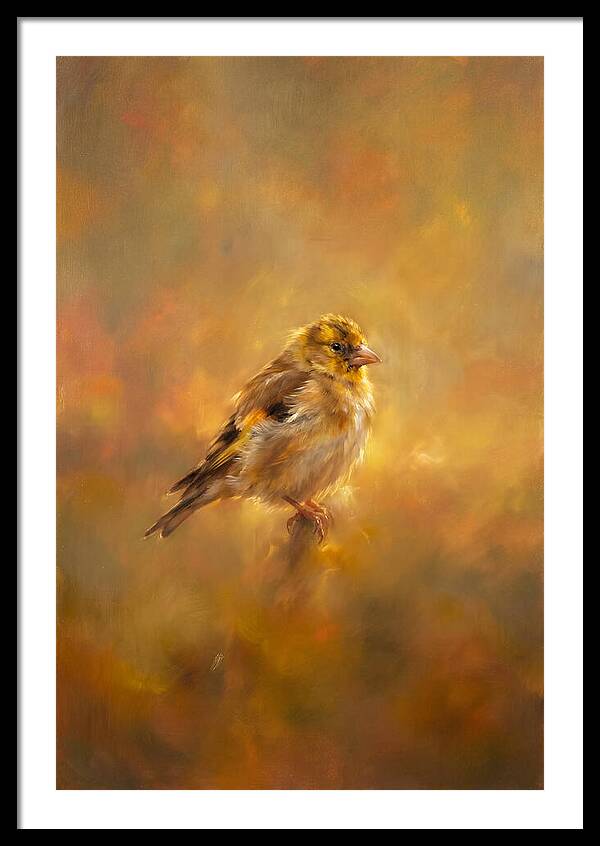 Golden Finch In Glow