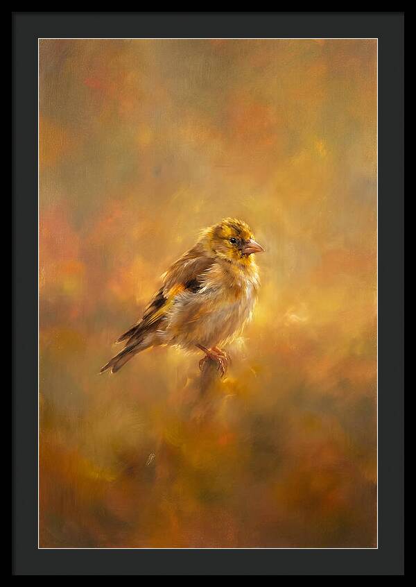 Golden Finch In Glow