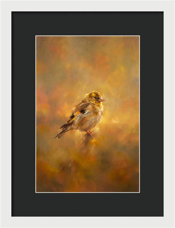 Golden Finch In Glow