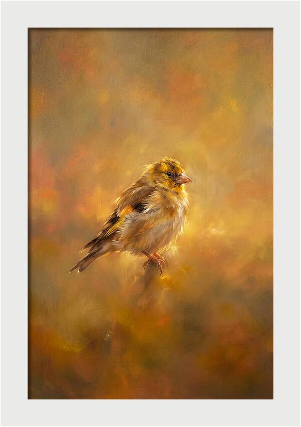 Golden Finch In Glow