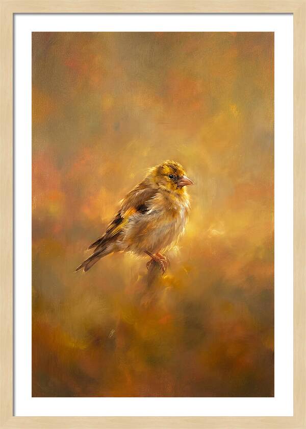 Golden Finch In Glow