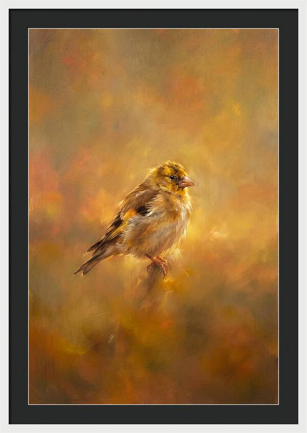 Golden Finch In Glow
