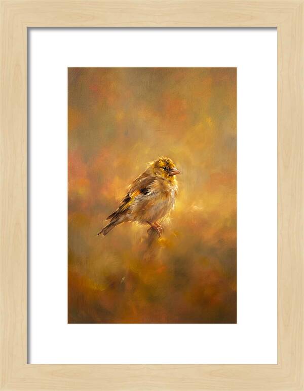 Golden Finch In Glow