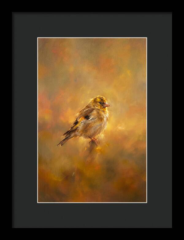 Golden Finch In Glow