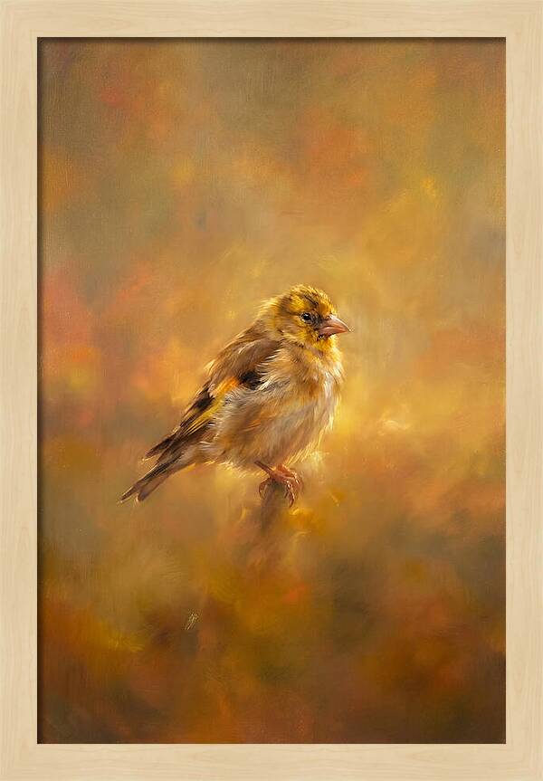 Golden Finch In Glow