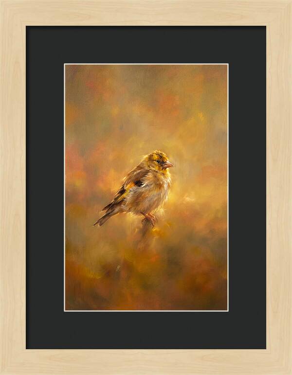 Golden Finch In Glow