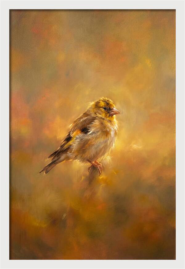 Golden Finch In Glow