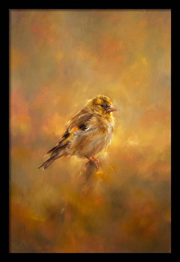Golden Finch In Glow