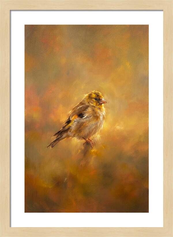 Golden Finch In Glow