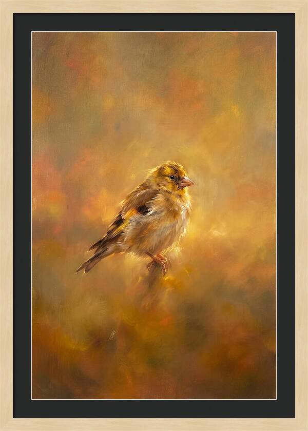 Golden Finch In Glow