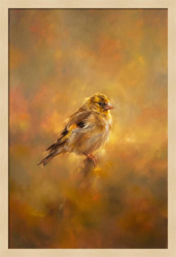 Golden Finch In Glow