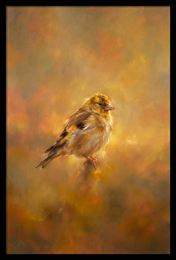 Golden Finch In Glow