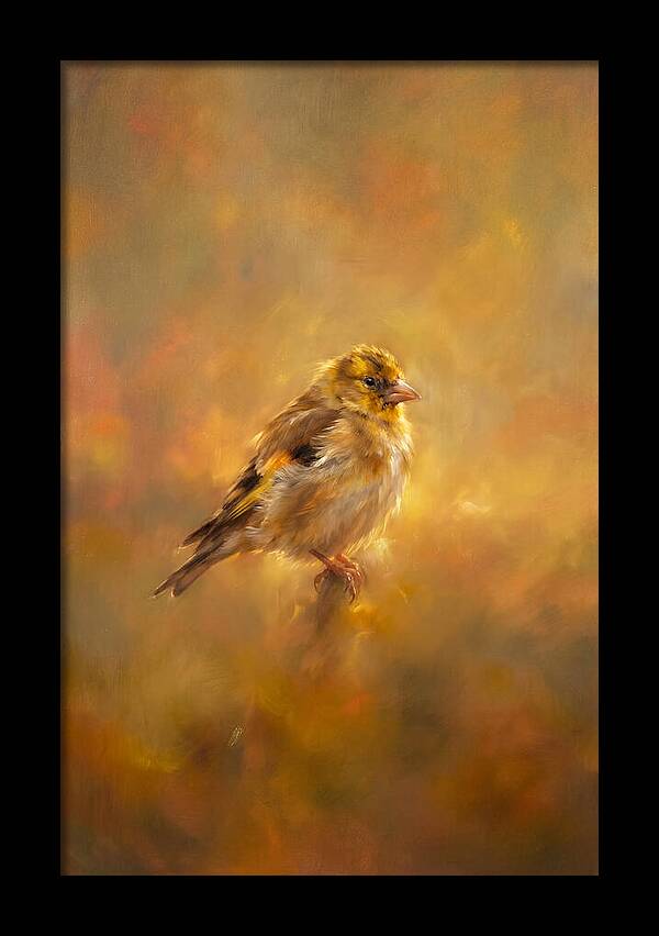 Golden Finch In Glow