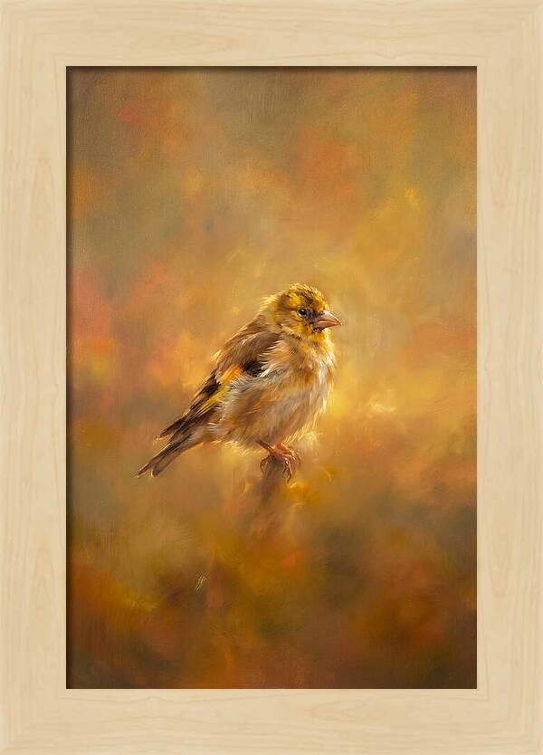 Golden Finch In Glow