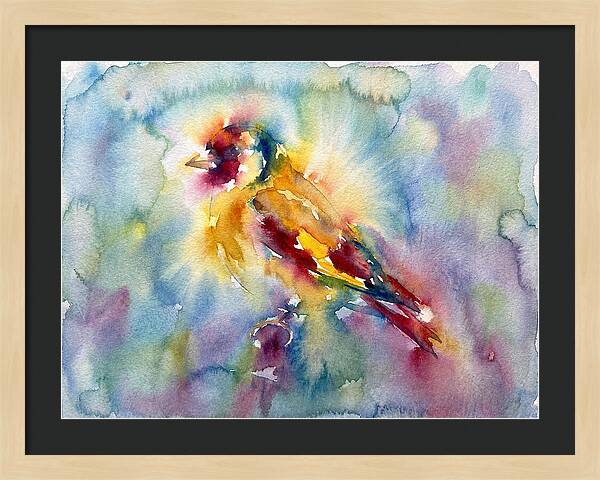 Golden Finch In Watercolor