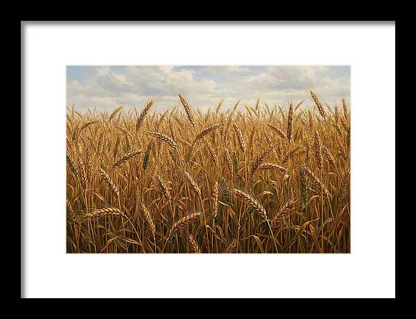 Golden Grain Field Serenity