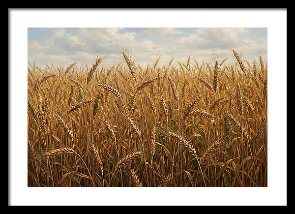 Golden Grain Field Serenity