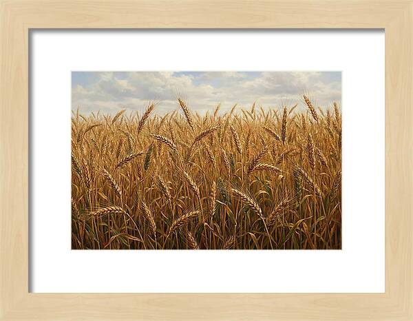Golden Grain Field Serenity