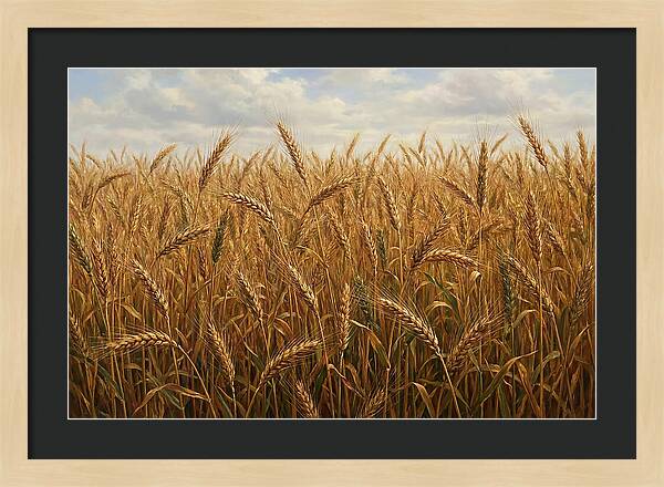 Golden Grain Field Serenity