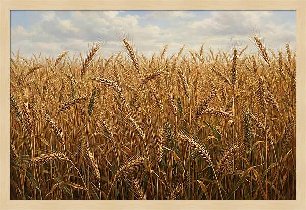 Golden Grain Field Serenity