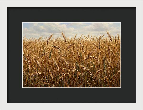 Golden Grain Field Serenity