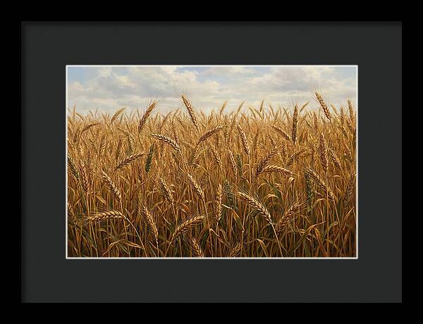 Golden Grain Field Serenity