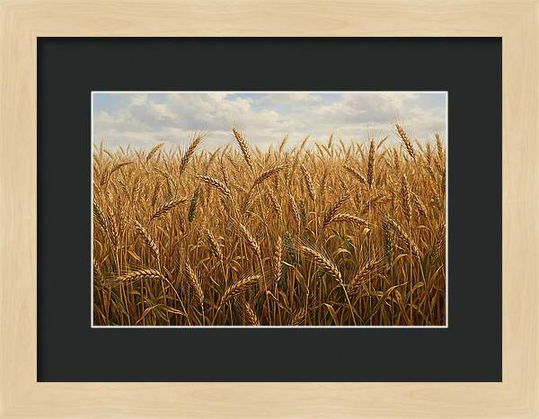 Golden Grain Field Serenity