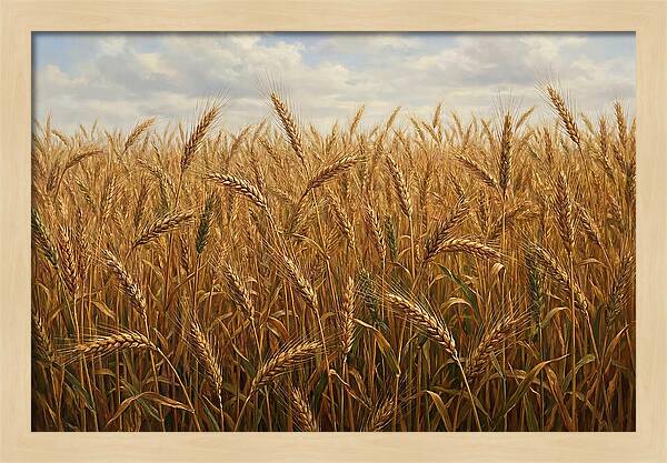 Golden Grain Field Serenity