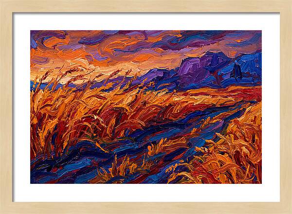 Golden Grain Fields At Dusk