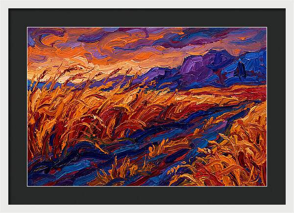 Golden Grain Fields At Dusk