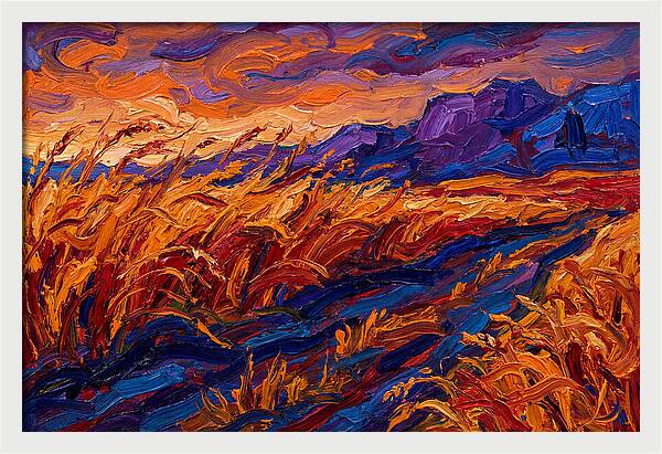 Golden Grain Fields At Dusk