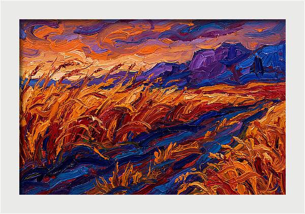 Golden Grain Fields At Dusk