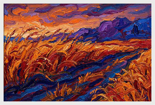 Golden Grain Fields At Dusk