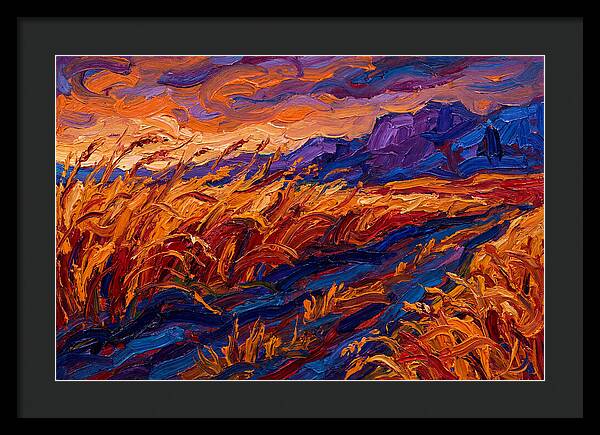 Golden Grain Fields At Dusk