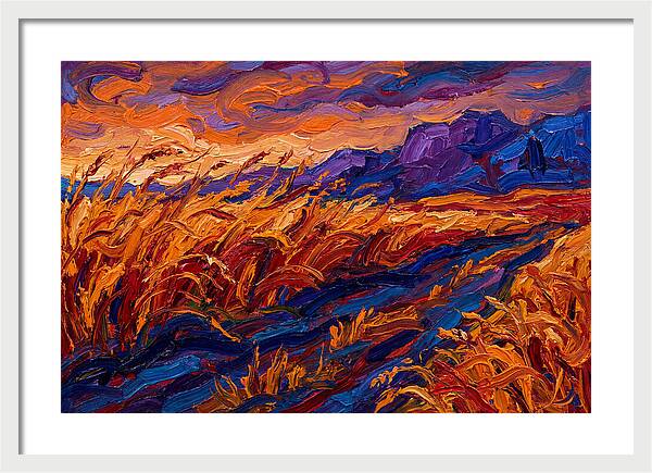 Golden Grain Fields At Dusk