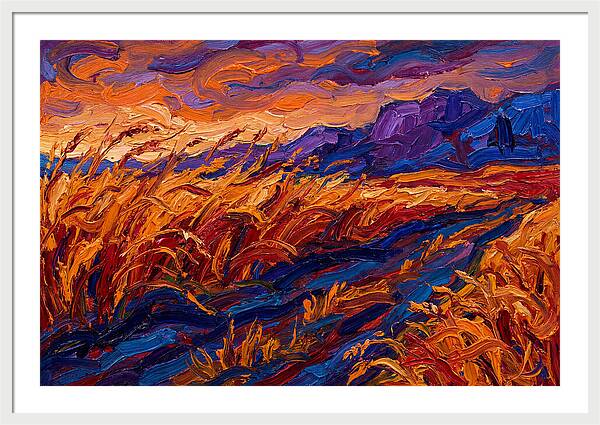 Golden Grain Fields At Dusk