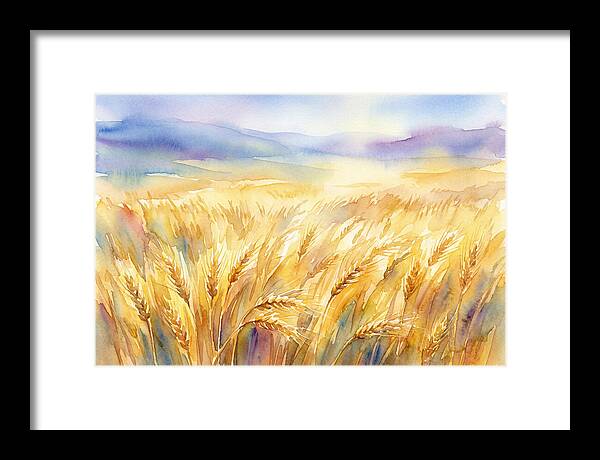 Golden Grain Fields In Watercolor