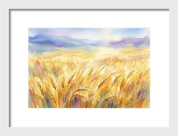 Golden Grain Fields In Watercolor