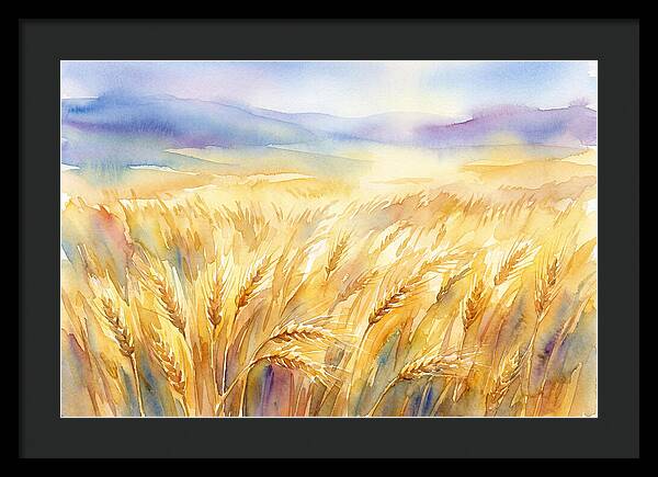Golden Grain Fields In Watercolor