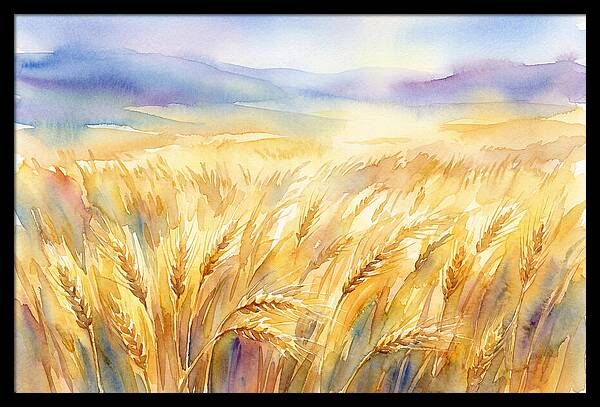 Golden Grain Fields In Watercolor