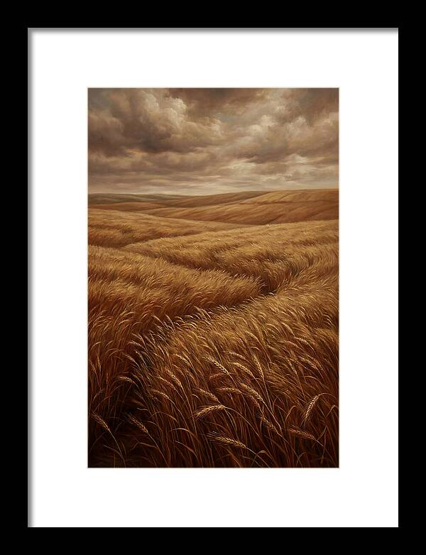 Golden Grain Fields Under Cloudy Skies