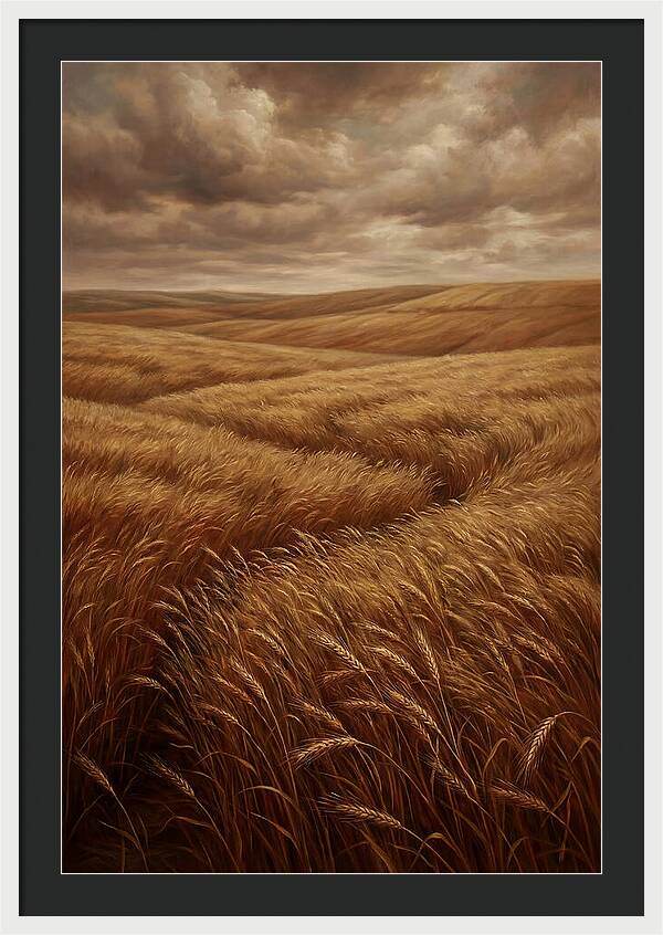 Golden Grain Fields Under Cloudy Skies