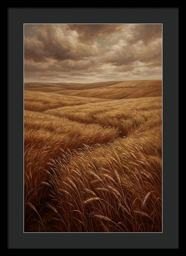 Golden Grain Fields Under Cloudy Skies