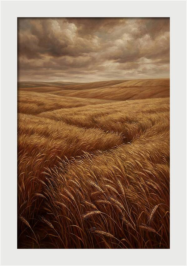 Golden Grain Fields Under Cloudy Skies